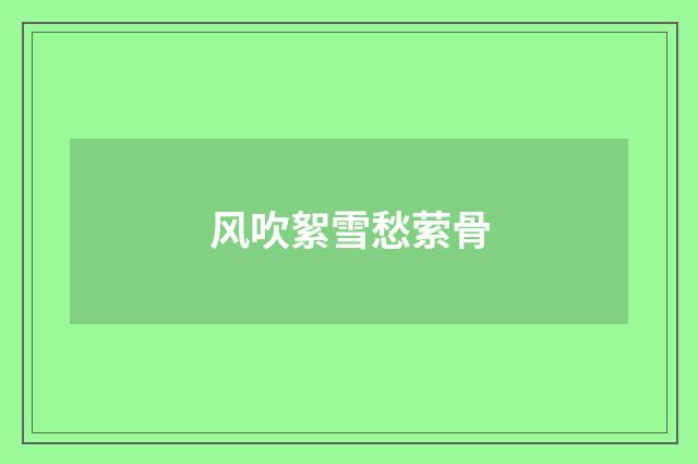 风吹絮雪愁萦骨