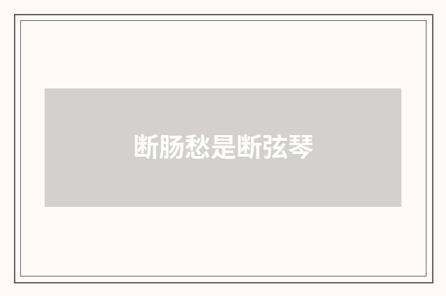 断肠愁是断弦琴