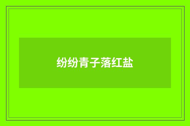 纷纷青子落红盐