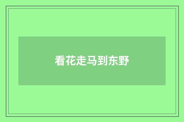 看花走马到东野
