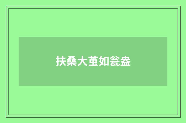 扶桑大茧如瓮盎
