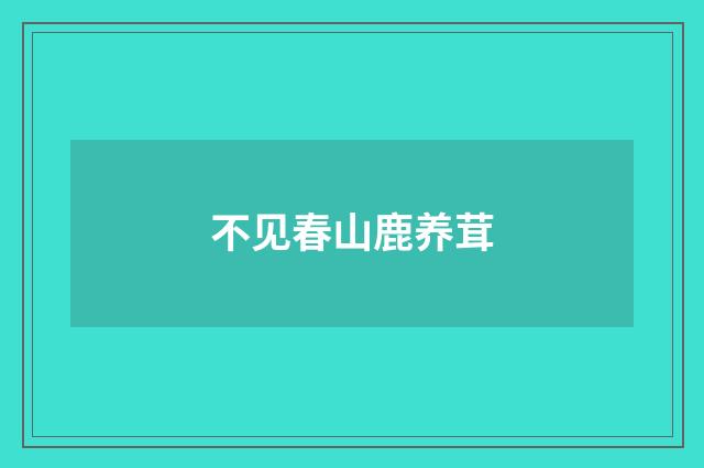 不见春山鹿养茸
