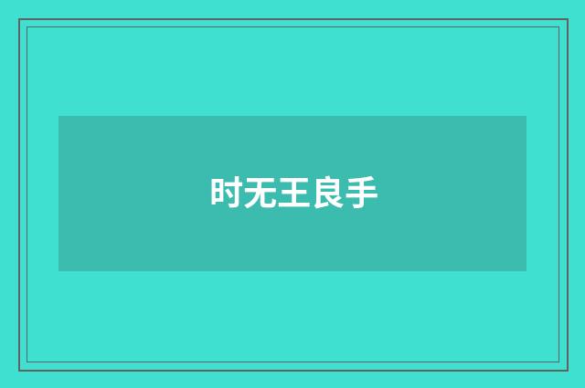 时无王良手