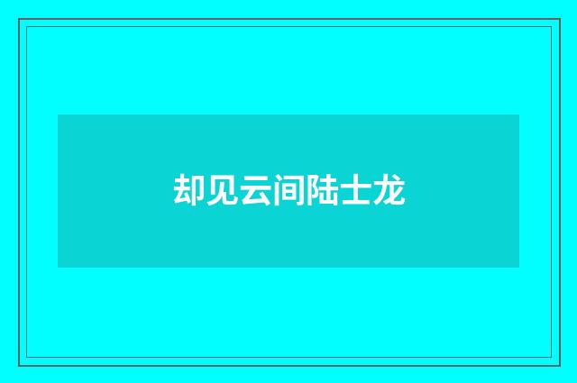 却见云间陆士龙