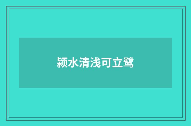颍水清浅可立鹭