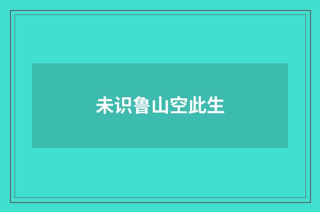 未识鲁山空此生