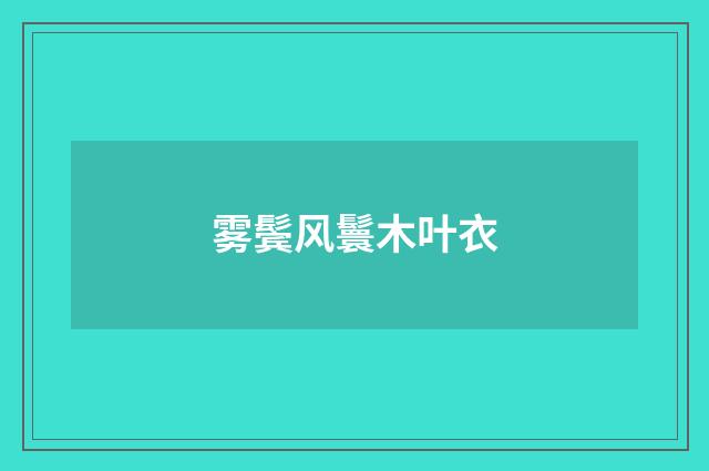 雾鬓风鬟木叶衣