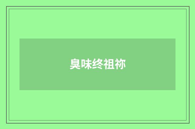 臭味终祖祢