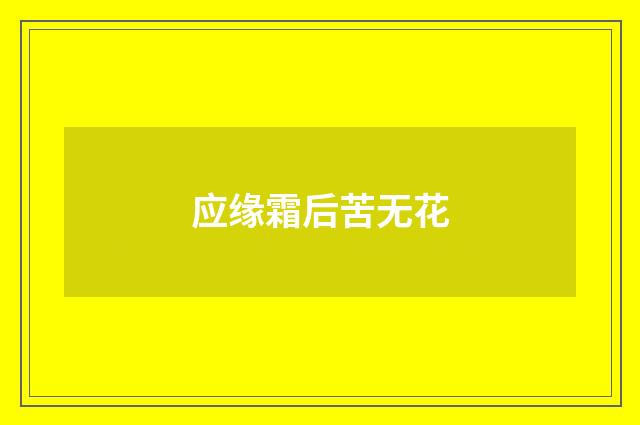 应缘霜后苦无花