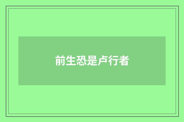 前生恐是卢行者