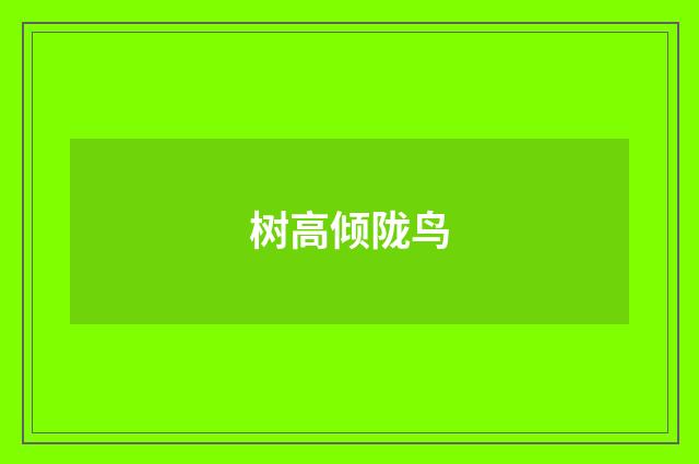 树高倾陇鸟