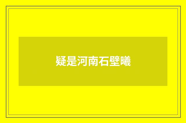 疑是河南石壁曦