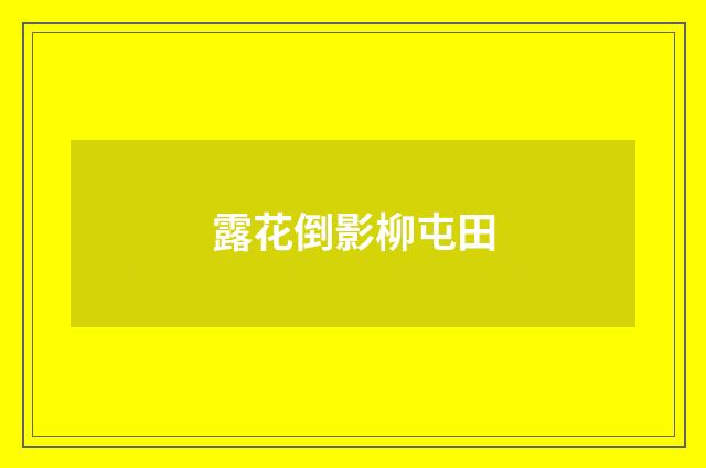 露花倒影柳屯田
