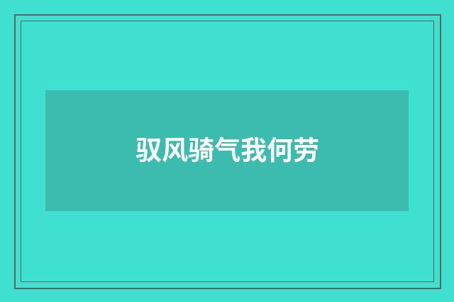 驭风骑气我何劳