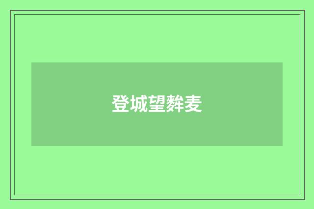 登城望麰麦
