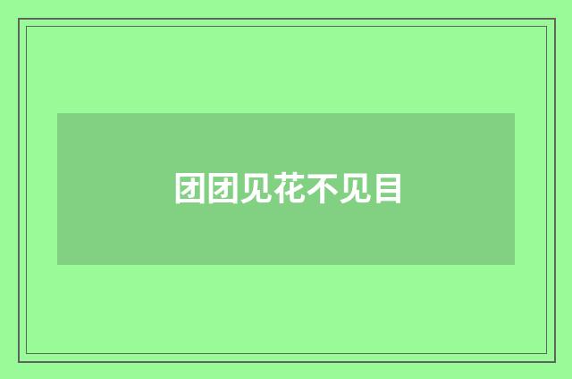 团团见花不见目