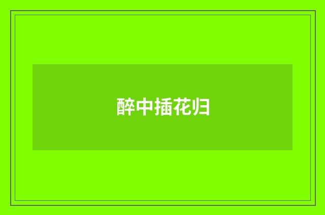 醉中插花归