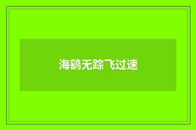 海鹞无踪飞过速