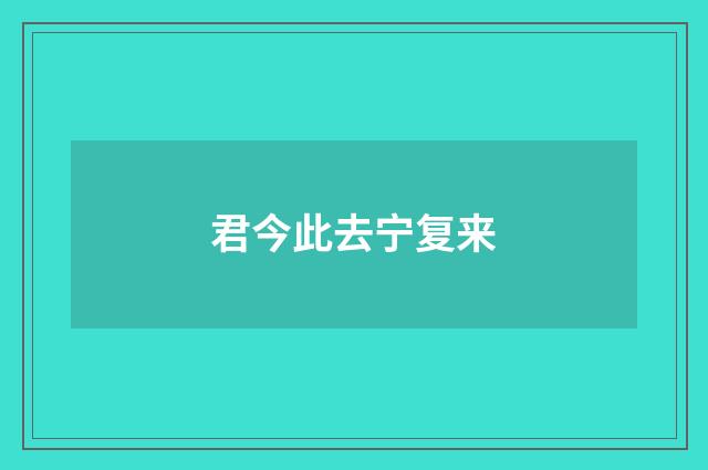 君今此去宁复来