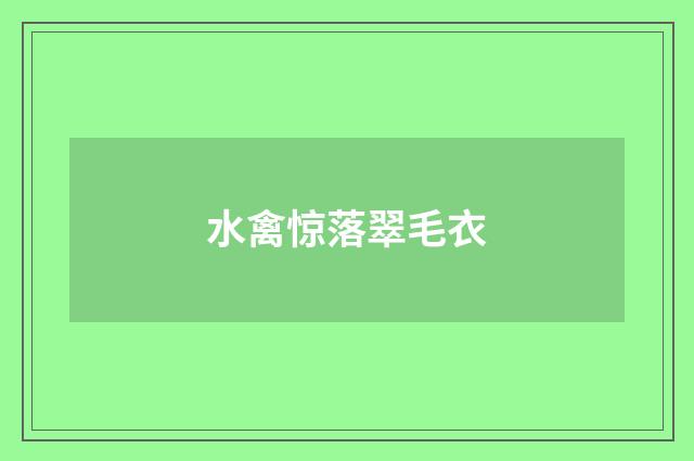 水禽惊落翠毛衣