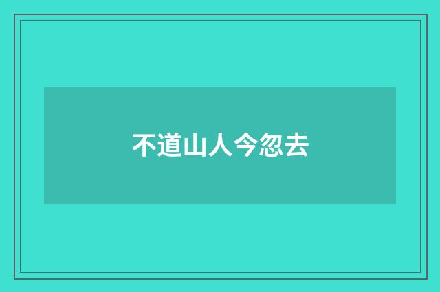 不道山人今忽去