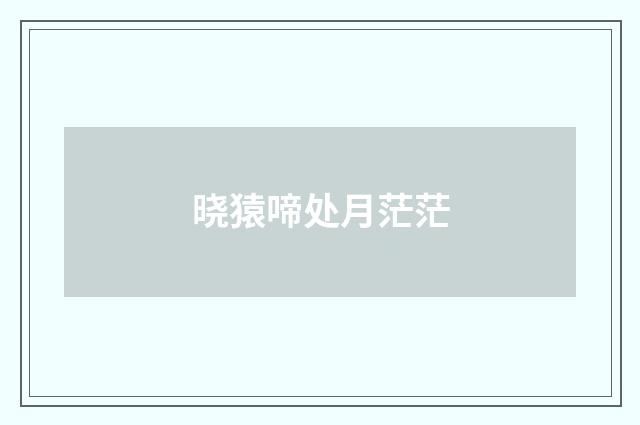 晓猿啼处月茫茫