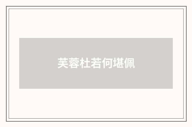 芙蓉杜若何堪佩