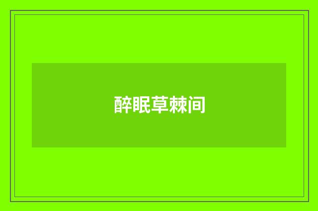 醉眠草棘间