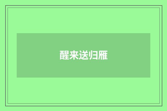 醒来送归雁