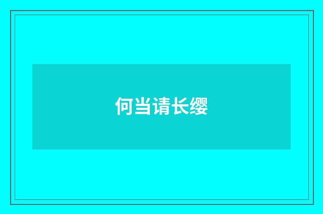 何当请长缨