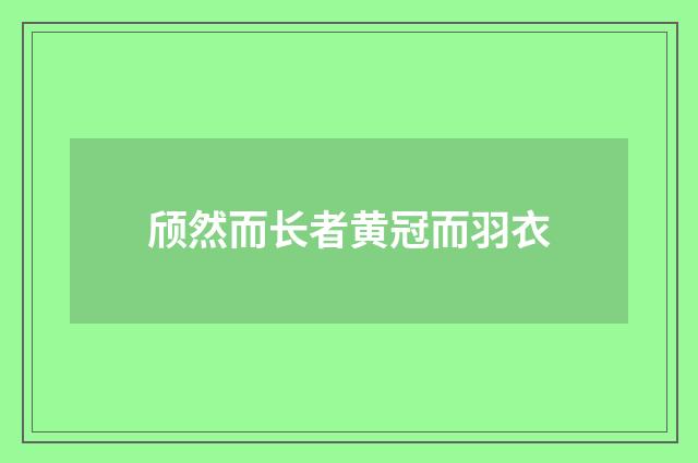 颀然而长者黄冠而羽衣