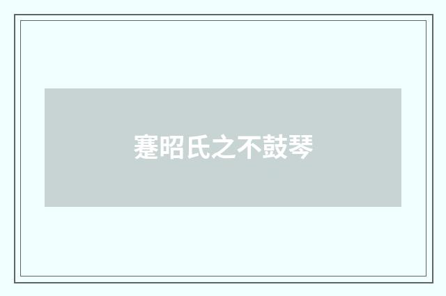 蹇昭氏之不鼓琴