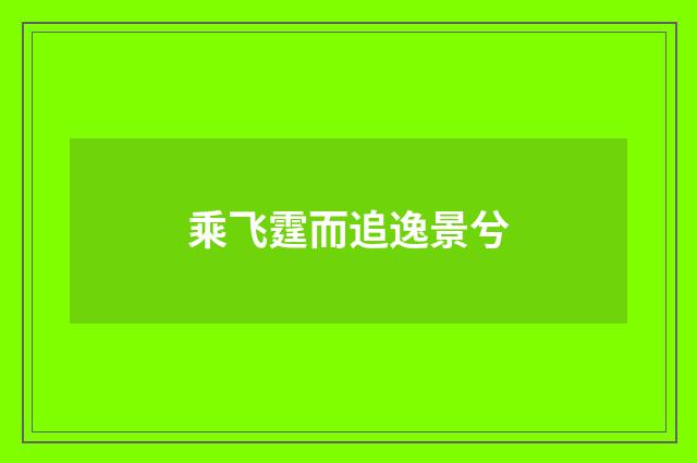 乘飞霆而追逸景兮
