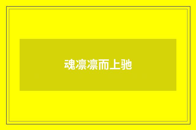 魂凛凛而上驰
