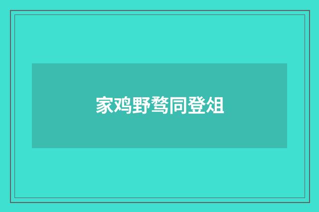 家鸡野骛同登俎