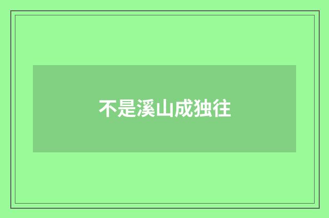 不是溪山成独往