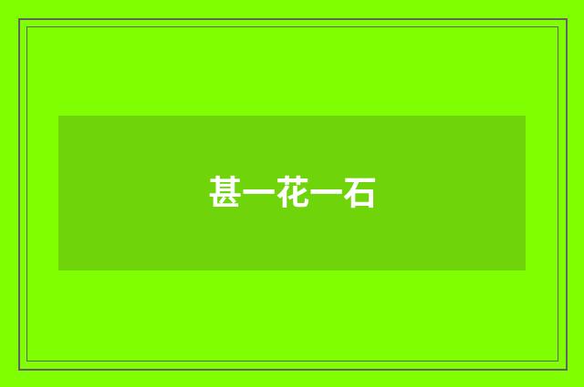 甚一花一石