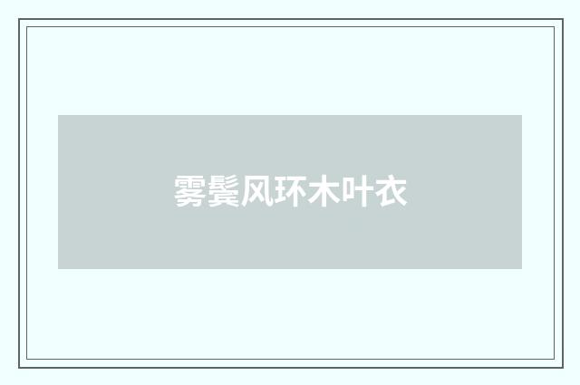 雾鬓风环木叶衣