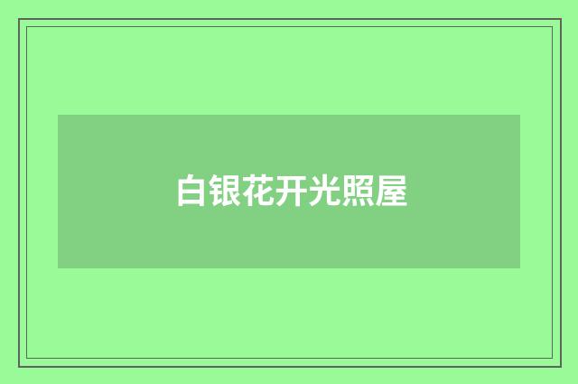 白银花开光照屋