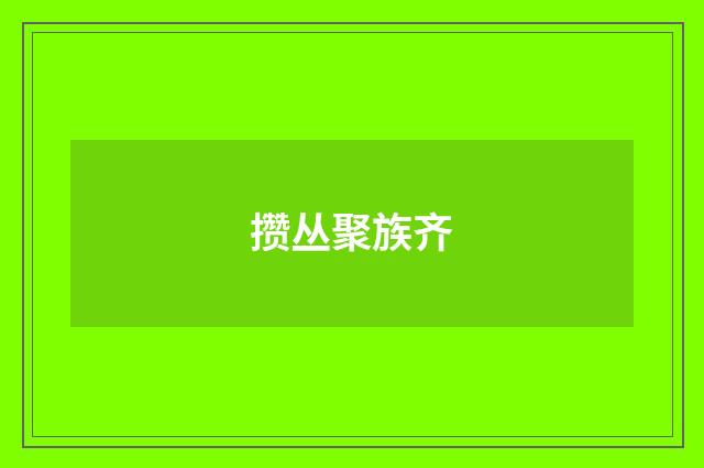 攒丛聚族齐