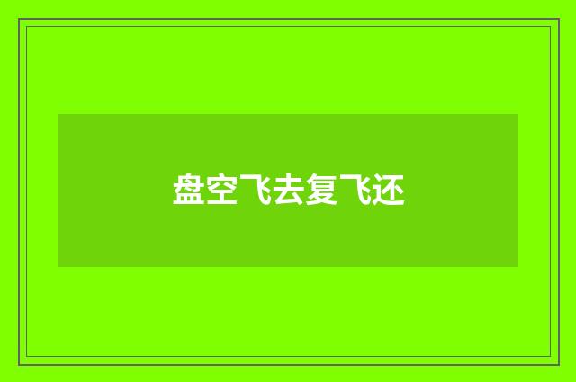 盘空飞去复飞还