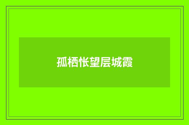 孤栖怅望层城霞
