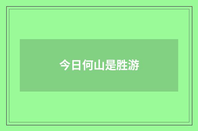今日何山是胜游
