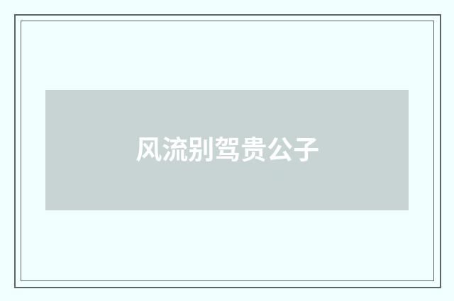 风流别驾贵公子
