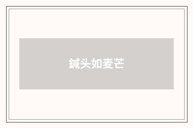 鍼头如麦芒