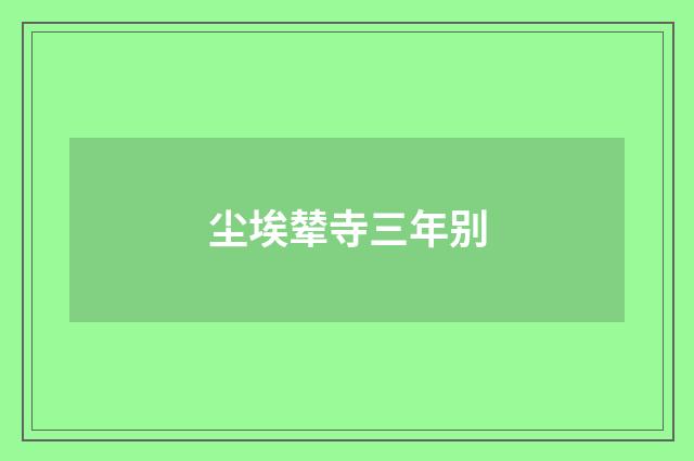 尘埃辇寺三年别