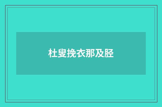 杜叟挽衣那及胫