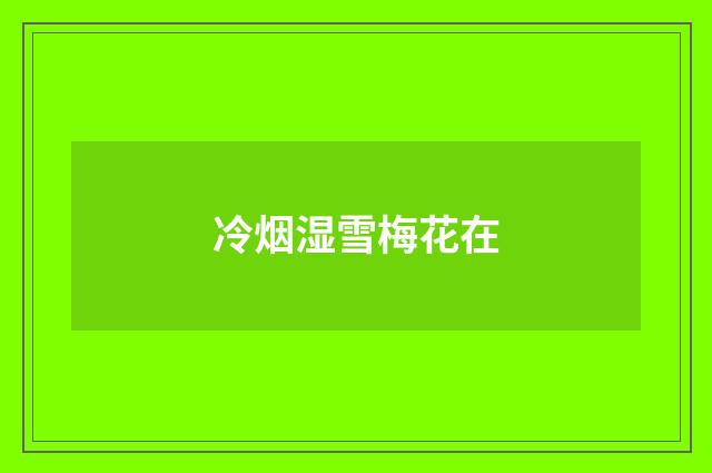 冷烟湿雪梅花在