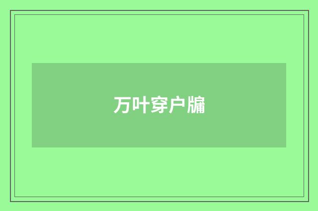 万叶穿户牖