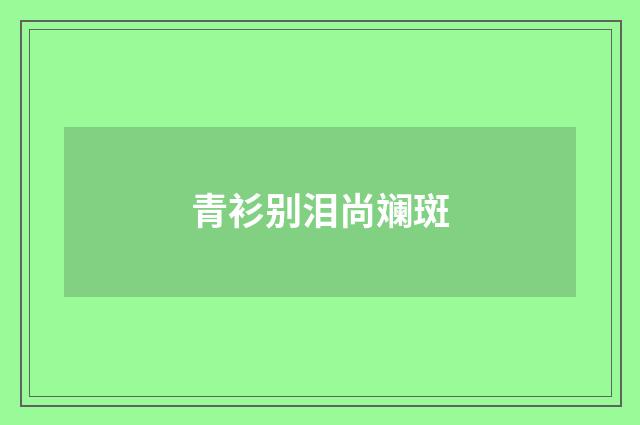 青衫别泪尚斓斑